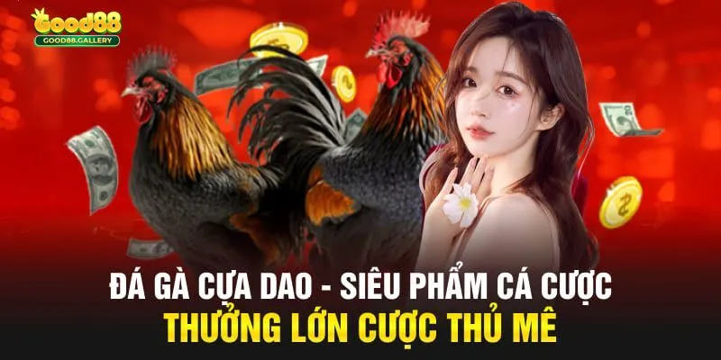 Cách xác định kết quả trong phương thức tham gia đá gà cựa dao 2025